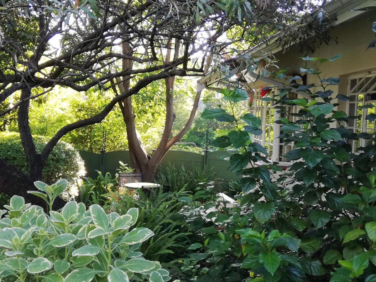 Tiree B&B Johannesbourg Extérieur photo